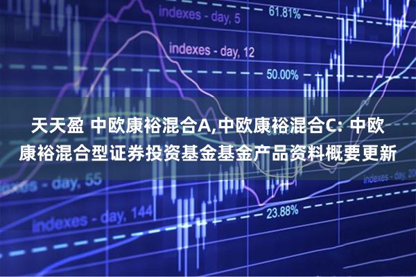 天天盈 中欧康裕混合A,中欧康裕混合C: 中欧康裕混合型证券投资基金基金产品资料概要更新