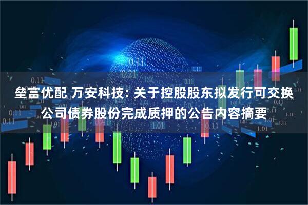 垒富优配 万安科技: 关于控股股东拟发行可交换公司债券股份完成质押的公告内容摘要