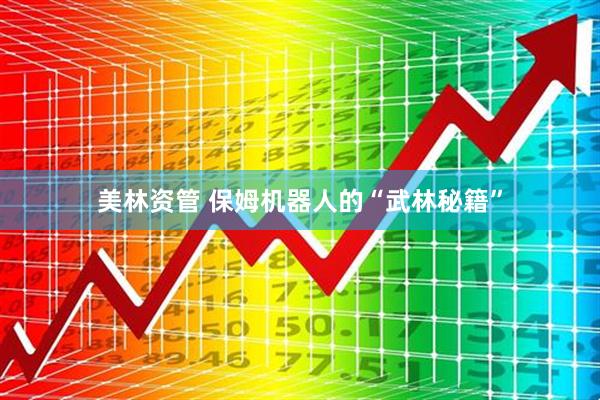 美林资管 保姆机器人的“武林秘籍”