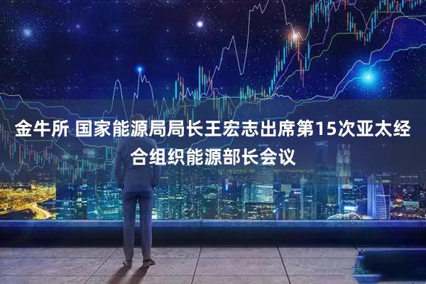 金牛所 国家能源局局长王宏志出席第15次亚太经合组织能源部长会议